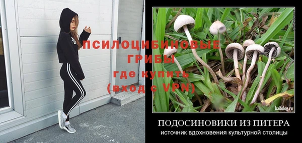 альфа пвп Армянск