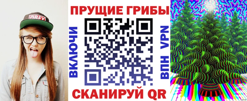blacksprut ссылка  Покачи  Псилоцибиновые грибы мицелий 